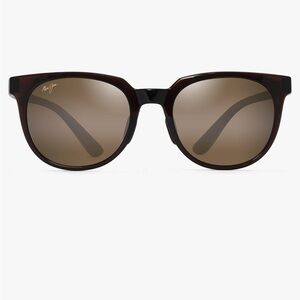 Classic Brown Sunglasses